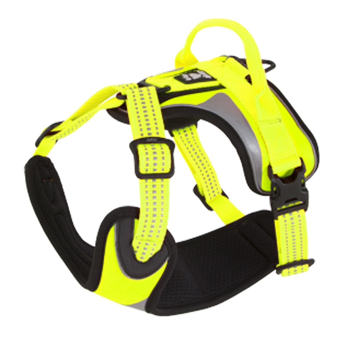 Hurtta dazzle harness outlet